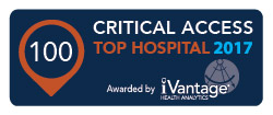 Top 100 Critical Access Hospital 2017